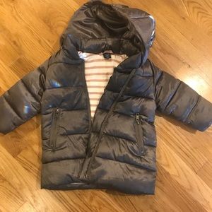 Gap Winter Puff Jacket